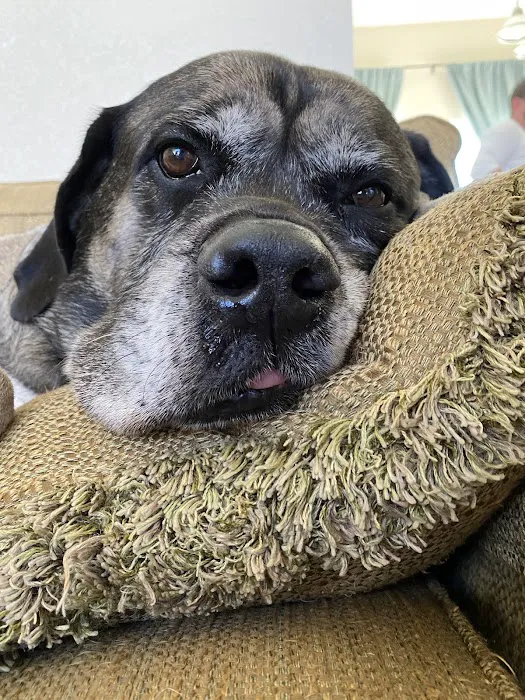 Ponderosa Veterinary Clinic 6