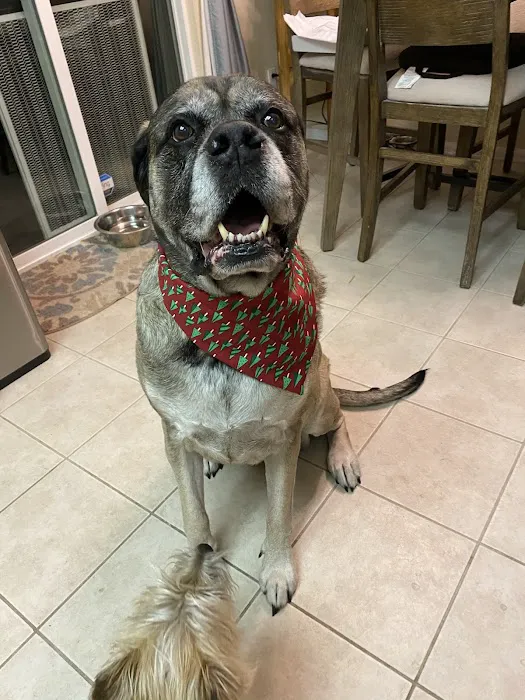 Ponderosa Veterinary Clinic 4