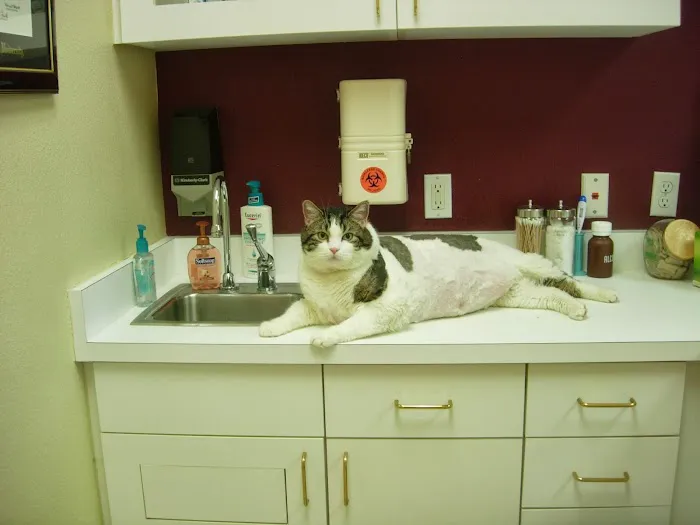Polo Springs Veterinary Hospital 1
