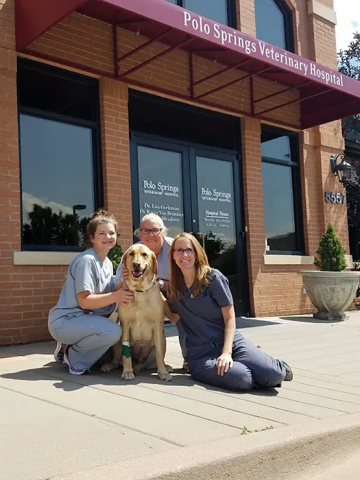 Polo Springs Veterinary Hospital 9