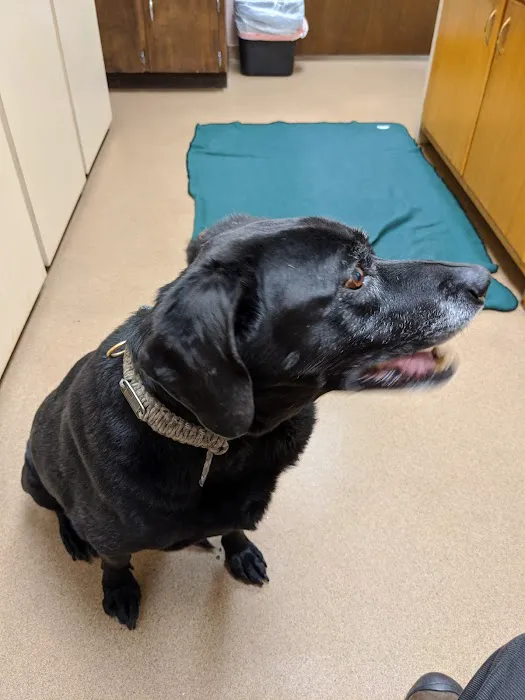 Buxton Veterinary Hospital 2