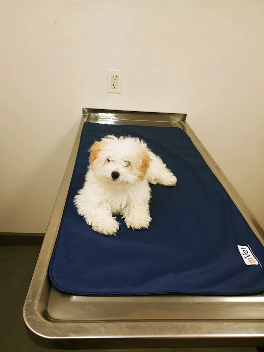 Duck Creek Animal Hospital 4