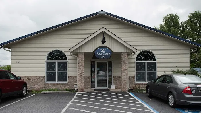 Duck Creek Animal Hospital 3