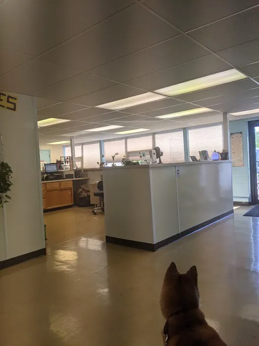 Berks Animal Hospital North 3