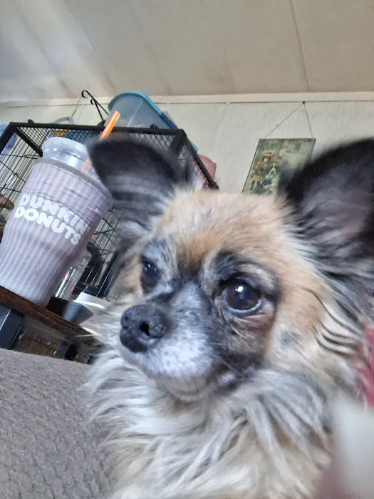 Berks Animal Hospital North 9