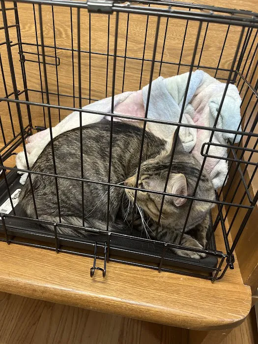 Silver Maple Veterinary Clinic 1