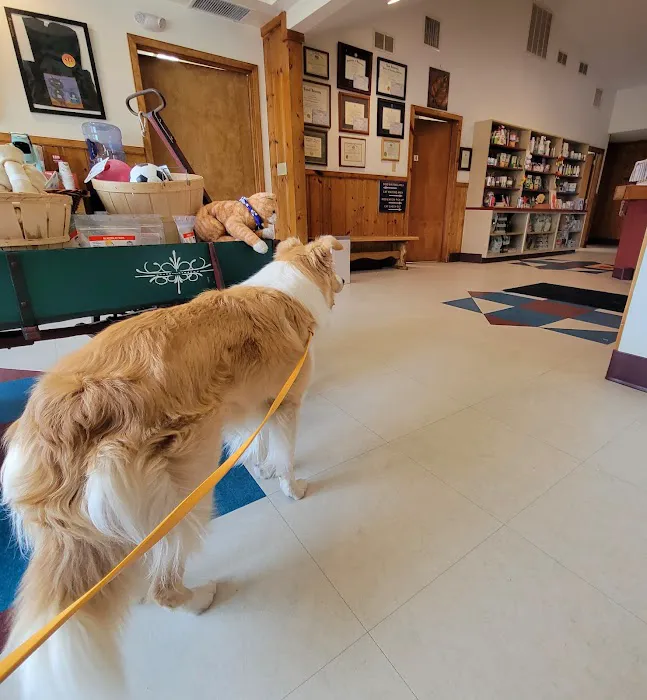 Silver Maple Veterinary Clinic 6