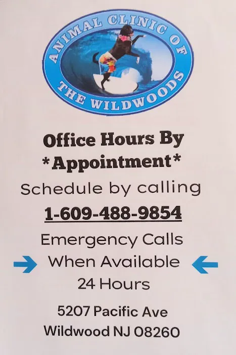 Animal Clinic of the Wildwoods 6