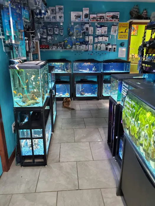 Windy City Pet Store 5
