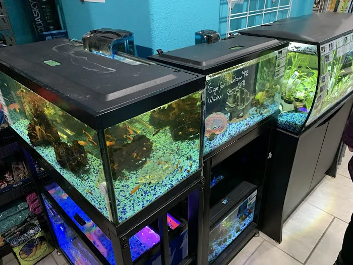 Windy City Pet Store 7
