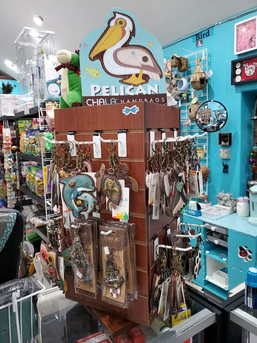 Windy City Pet Store 10