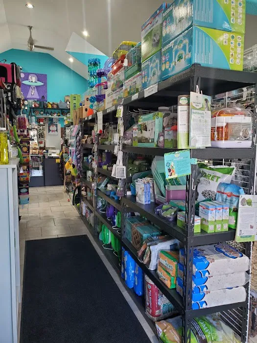 Windy City Pet Store 1