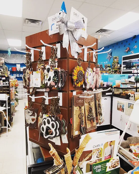 Windy City Pet Store 8