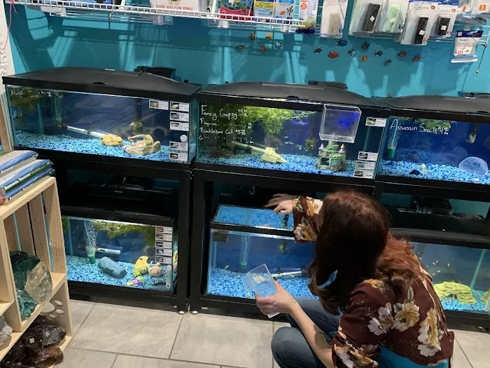 Windy City Pet Store 4