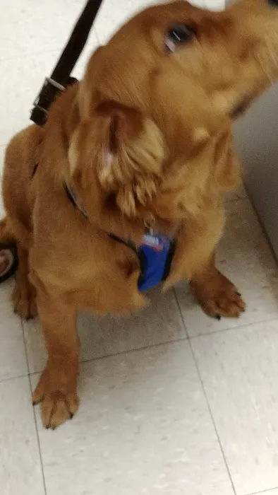 Tri-County Veterinary Hospital 6
