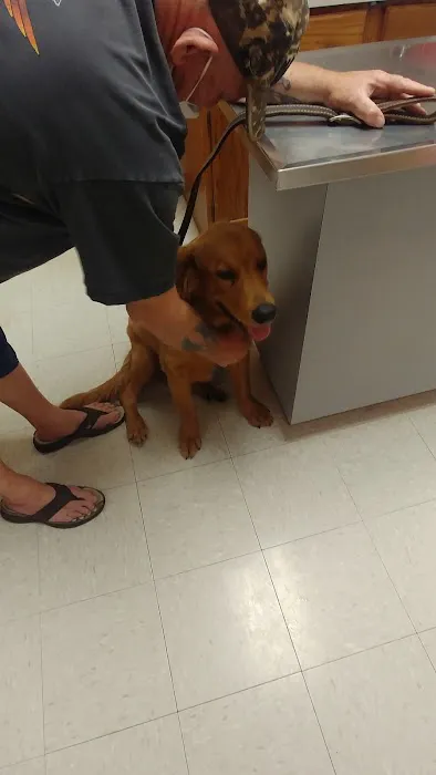 Tri-County Veterinary Hospital 5