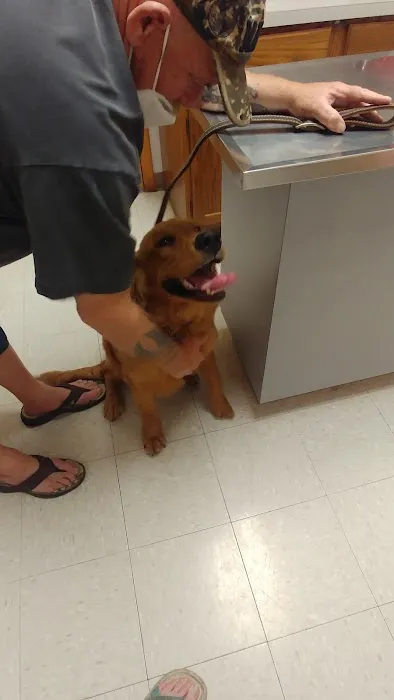 Tri-County Veterinary Hospital 2