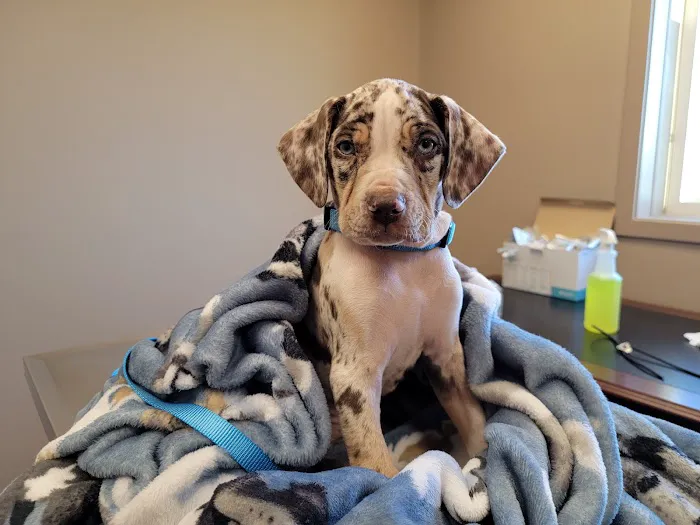 Tri-County Veterinary Hospital 10