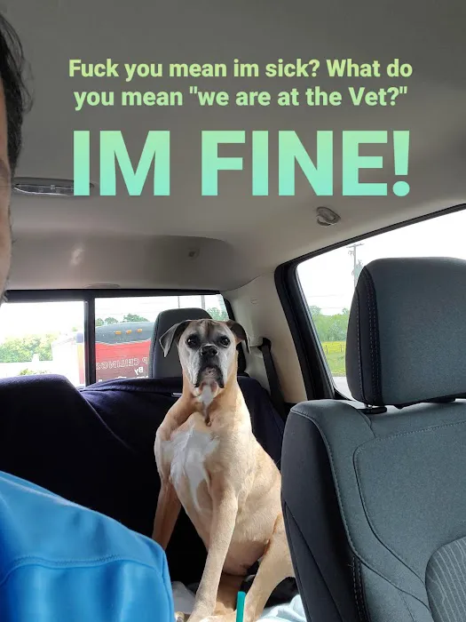 Tri-County Veterinary Hospital 9