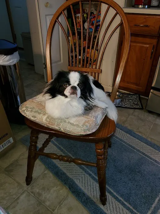 Tri-County Veterinary Clinic: Varnold P M DVM 2