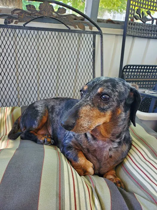 Woodstown Veterinary Hospital 4