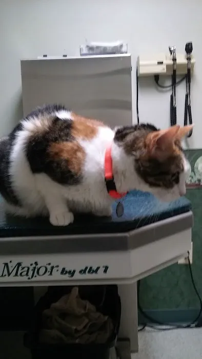 Raccoon Valley Animal Hospital 4