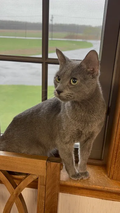 Raccoon Valley Animal Hospital 2