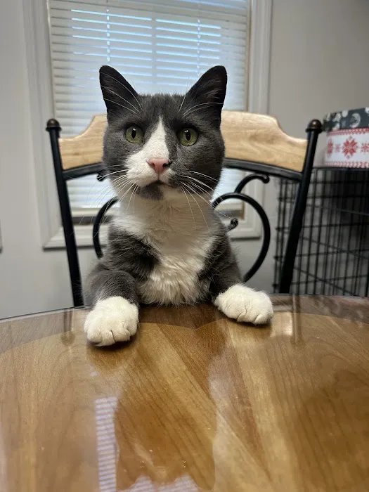 Raccoon Valley Animal Hospital 1