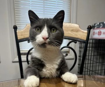 Raccoon Valley Animal Hospital