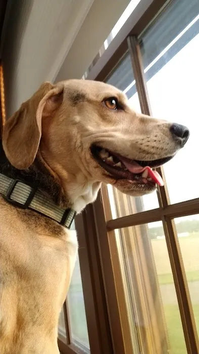 Raccoon Valley Animal Hospital 8