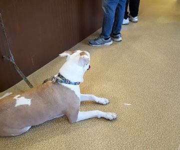 Barnegat Animal Clinic