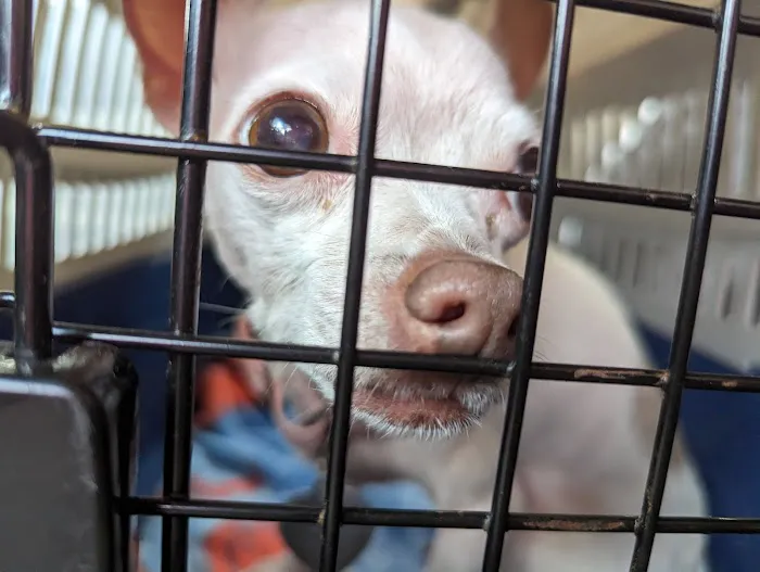 Barnegat Animal Clinic 5