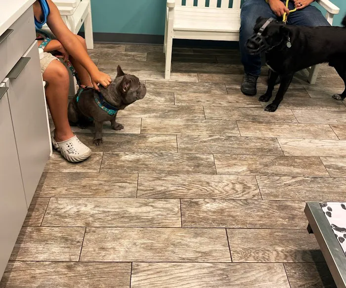 Jersey Shore Veterinary Hospital 3