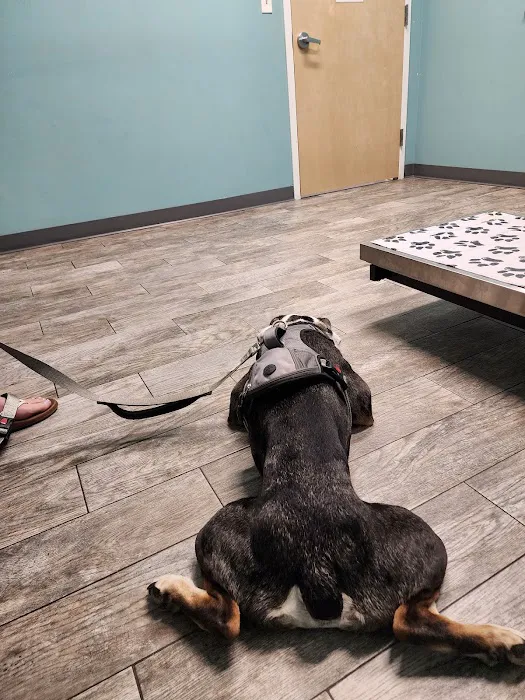 Jersey Shore Veterinary Hospital 9