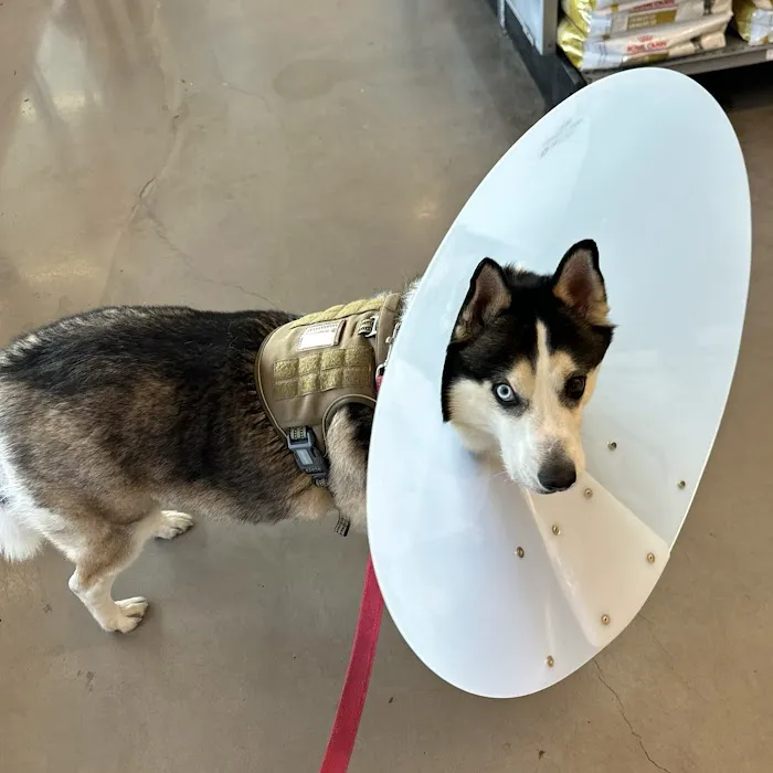 Banfield Pet Hospital 4