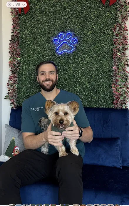 Mid Island Veterinary Practice 7
