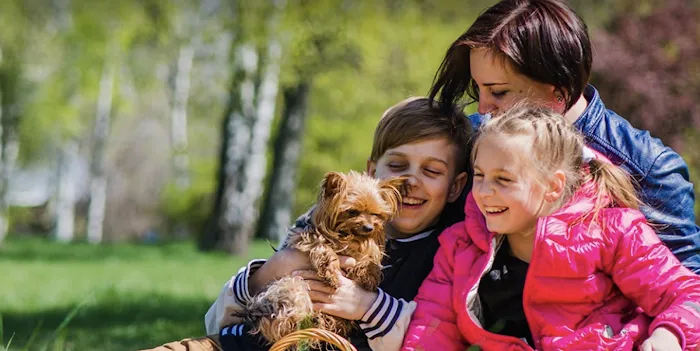 Animal Health Group on the Boulevard 10