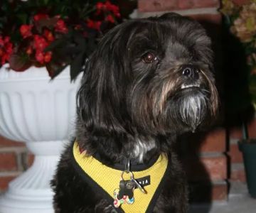 Four Corners Veterinary Practice