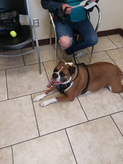 Kutztown Animal Hospital 6