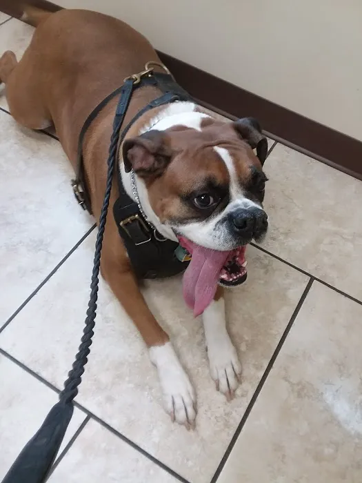 Kutztown Animal Hospital 4