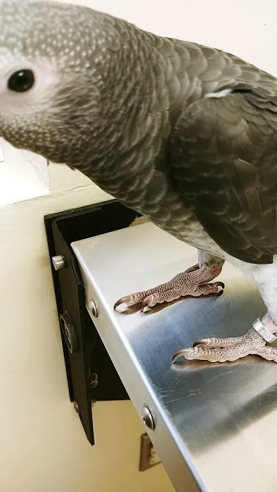 Kutztown Animal Hospital 3