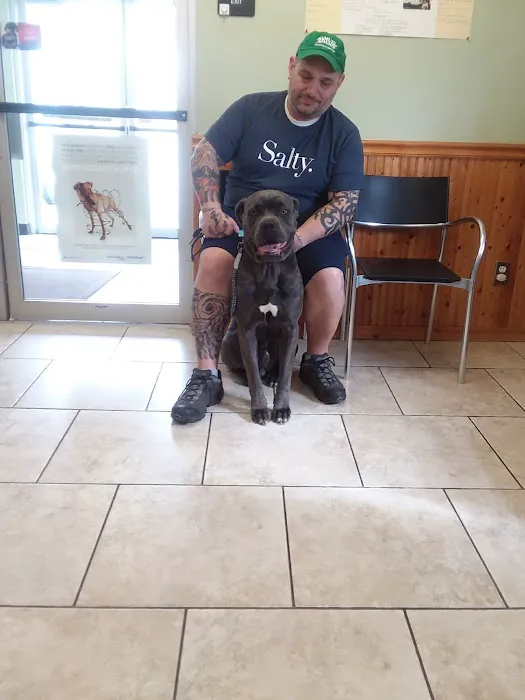 Kutztown Animal Hospital 5