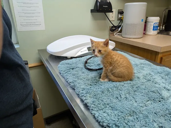 Kutztown Animal Hospital 2