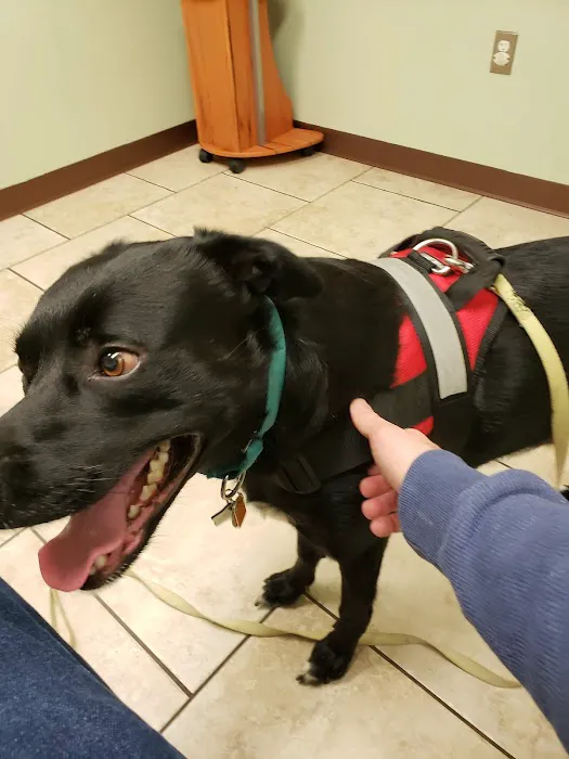 Kutztown Animal Hospital 10