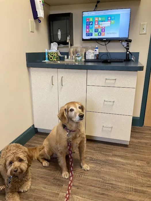 Country Doctor Veterinary Hospital 4