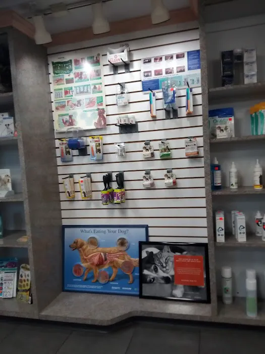 Forest Inn Veterinary Hospital 3