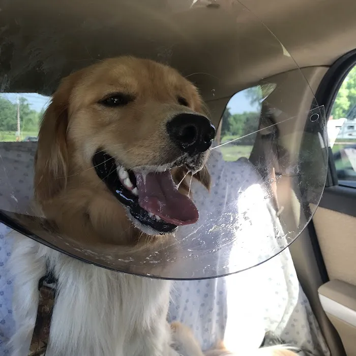 Mountain Valley Spay/Neuter and Vaccine Clinic 3