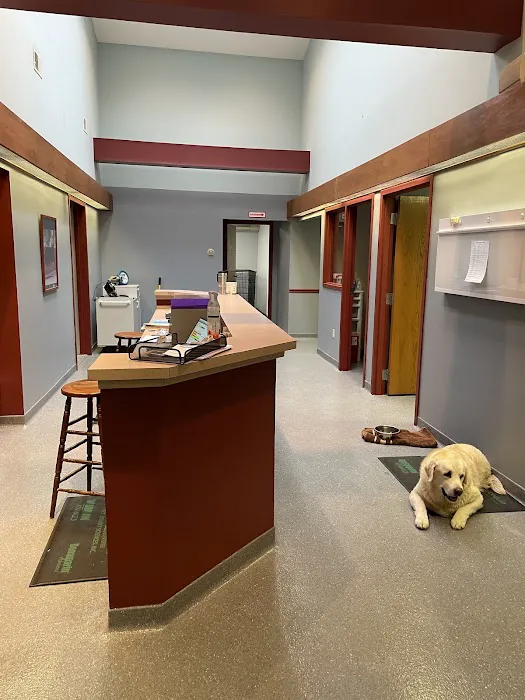 Lehighton Animal Hospital 5
