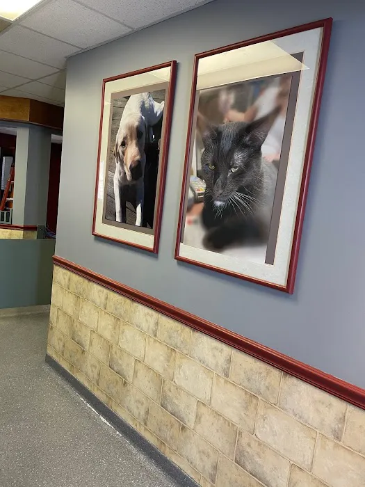 Lehighton Animal Hospital 10