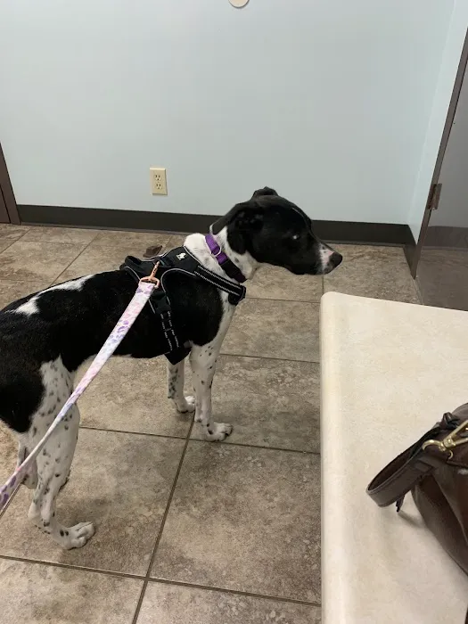 Kaskaskia Valley Animal Hospital 6